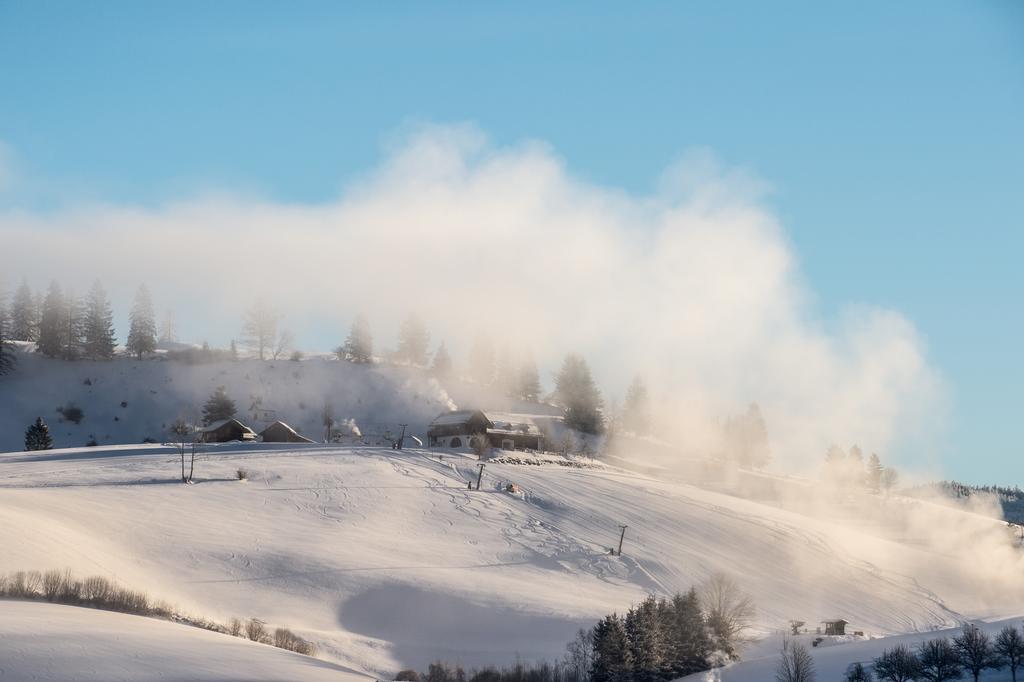 Aktiv- Und Wellnesshotel Gutjahr Abtenau Esterno foto